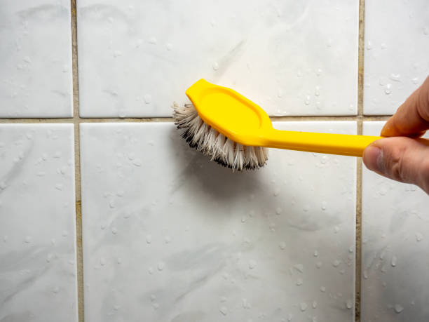Trusted Pearl River, MS Mold Removal Experts