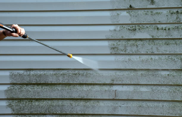 Mold Removal Process in Pearl River, MS