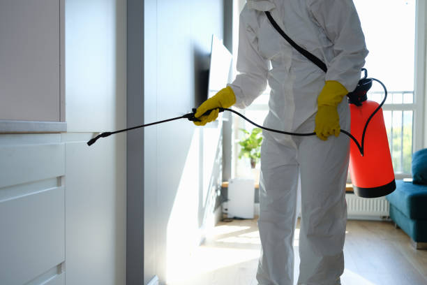 Best Mold Testing and Removal  in Pearl River, MS